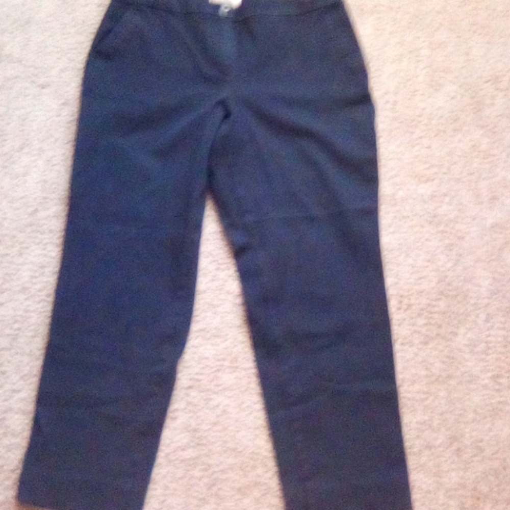 Talbot Curvy Casual Fit Work Regular Boho Women Pants Size 10